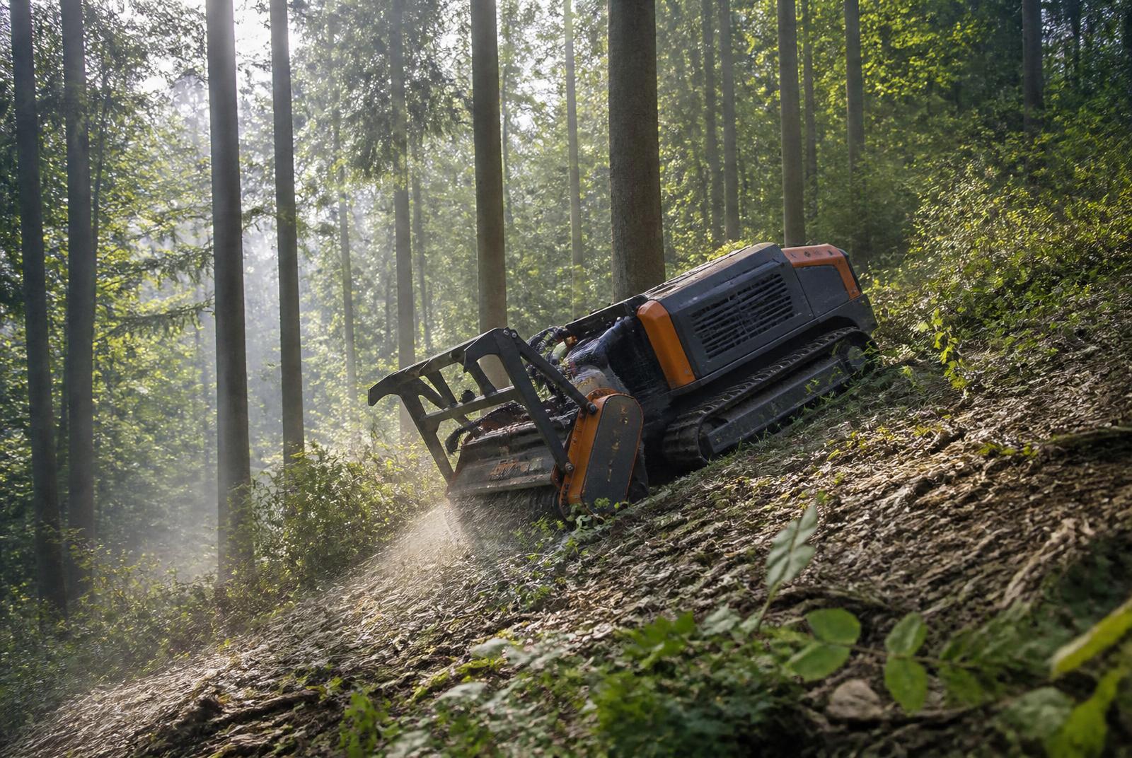 Ferngesteuerter Forstmulcher beim Bearbeiten von Unterwuchs auf einer steilen Waldfläche