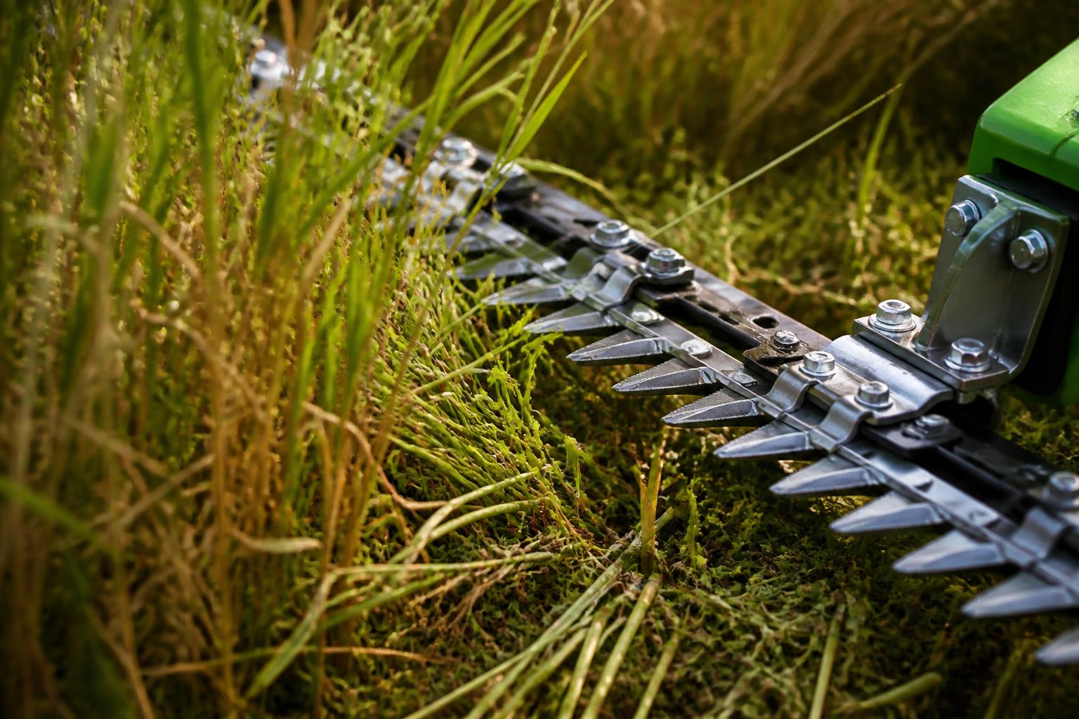 Oszillierender Messerbalken schneidet Wiesenvegetation sauber ab